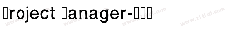 Project Manager字体转换